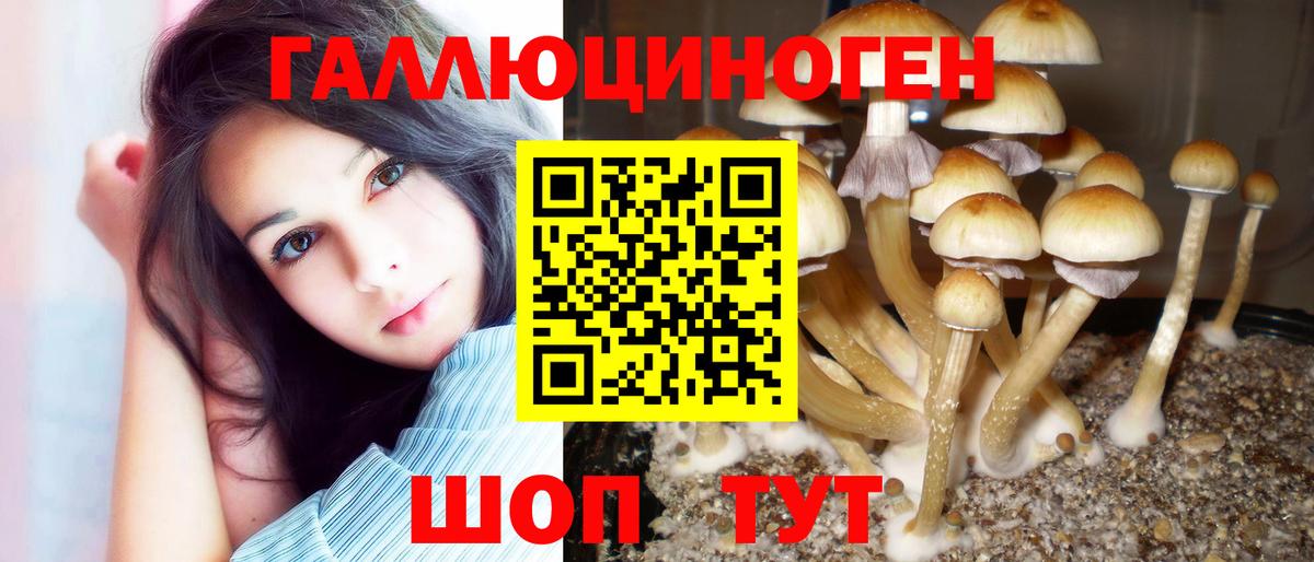 Псилоцибиновые грибы Psilocybe  Вход с VPN  Гусев  Псилоцибиновые грибы MAGIC MUSHROOMS 