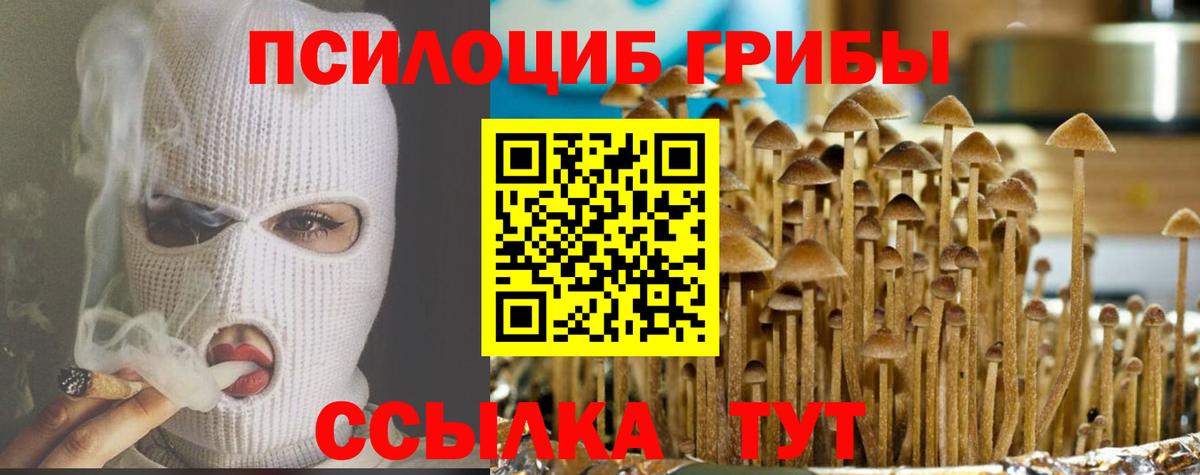 Галлюциногенные грибы Magic Shrooms Гусев